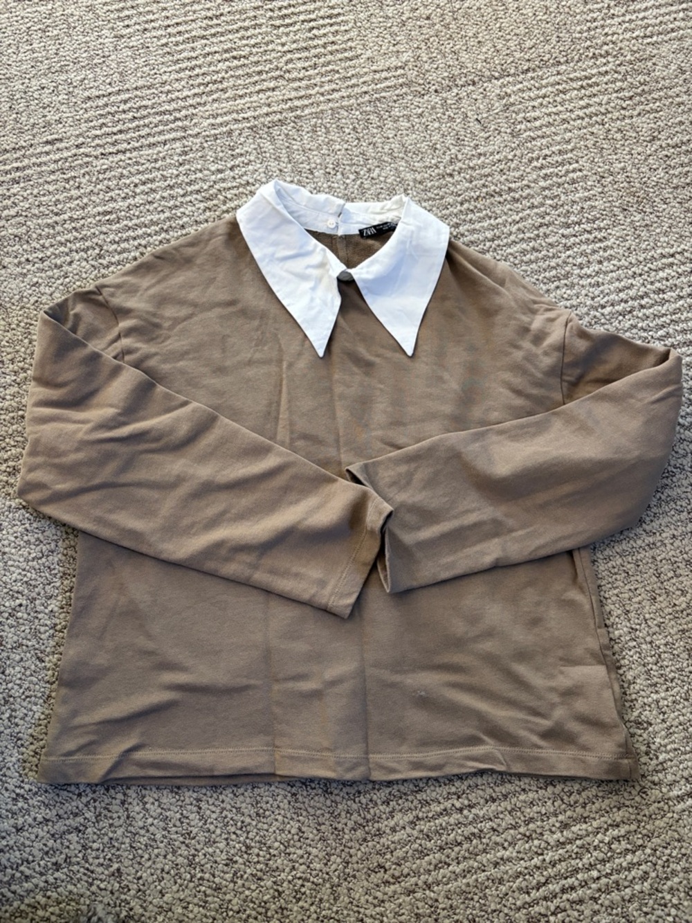 Zara Brown Top with White Pointed Collar